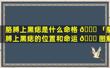 胳膊上黑痣是什么命格 🐝 「胳膊上黑痣的位置和命运 🐘 图解」